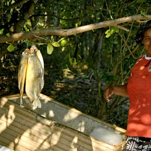 Foto Pantanal, a Boa Inocência de Nossas Origens