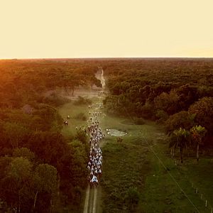 Foto Pantanal, a Boa Inocência de Nossas Origens