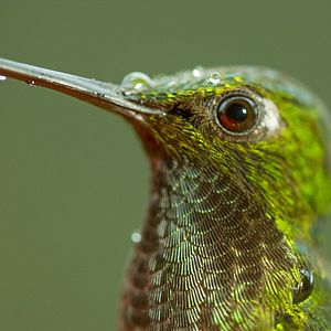 Foto Earth: One Amazing Day