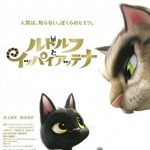 Foto Rudolph, o Gatinho Preto