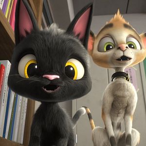 Foto Rudolph, o Gatinho Preto