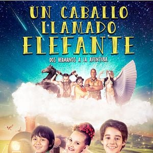 Foto Um cavalo chamado elefante