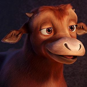 Foto A Estrela de Belém