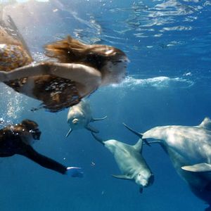 Foto Um Conto de Sereia