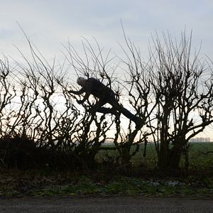 Foto Leaning Into the Wind: Andy Goldsworthy