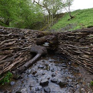 Foto Leaning Into the Wind: Andy Goldsworthy
