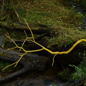 Foto Leaning Into the Wind: Andy Goldsworthy