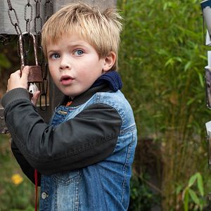 Foto Meu Amigo é uma Girafa