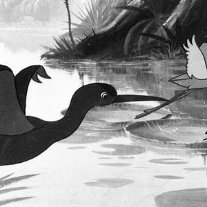 Foto Sinfonia Amazônica