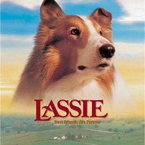 Foto Lassie