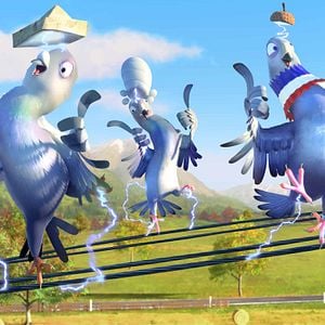 Foto Missão Cegonha