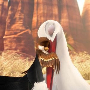 Foto Missão Cegonha