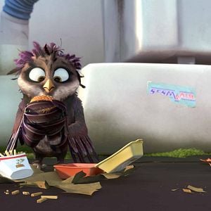 Foto Missão Cegonha