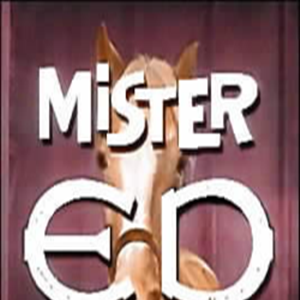 Foto Mister Ed