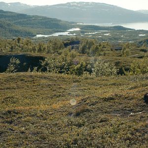 Foto Lene Cecilia Sparrok