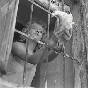 Foto O Meu Século XX