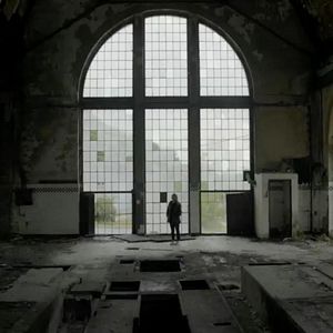 Foto Árvores Vermelhas