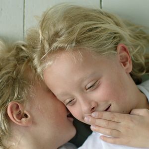 Foto Árvores Vermelhas