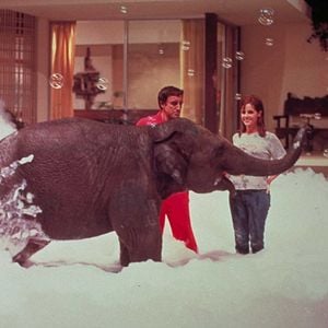 Foto Um Convidado Bem Trapalhão