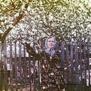 Foto Amor é Batatas