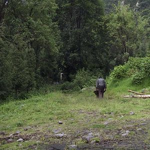 Foto Regresso à Origem