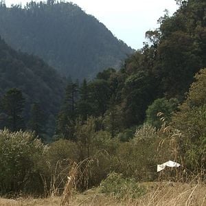 Foto Regresso à Origem