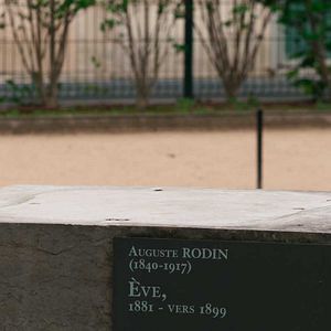 Foto Roubar Rodin
