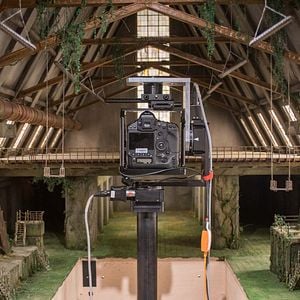 Foto Ilha dos Cachorros