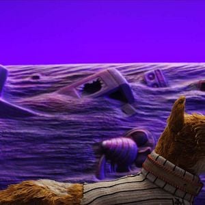 Foto Ilha dos Cachorros