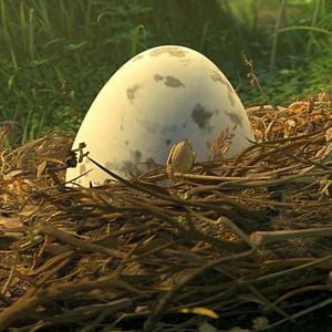 Foto PLOEY - You Never Fly Alone