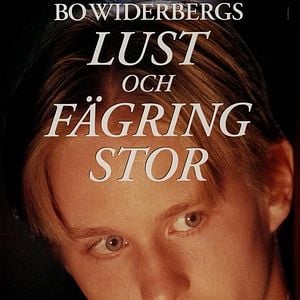 Foto Todas As Coisas São Belas