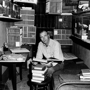 Foto O Homem de Alcatraz