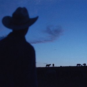 Foto Domando o Destino