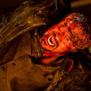 Foto Colheita Amarga