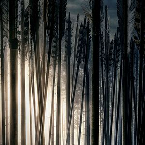 Foto Robin Hood - A Origem