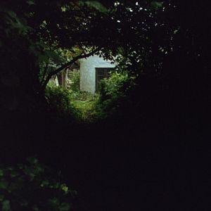 Foto De Um Ano Sem Eventos