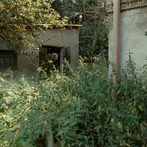 Foto De Um Ano Sem Eventos