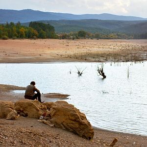 Foto A Árvore dos Frutos Selvagens