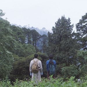 Foto Honeygiver Among the Dogs