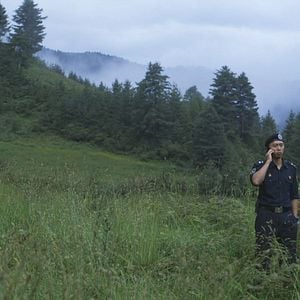 Foto Honeygiver Among the Dogs