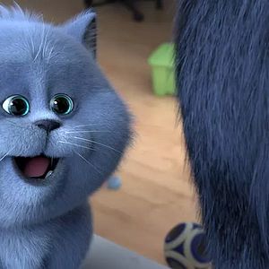 Foto Cats e a Gatolândia