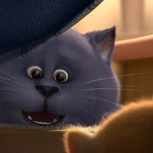 Foto Cats e a Gatolândia