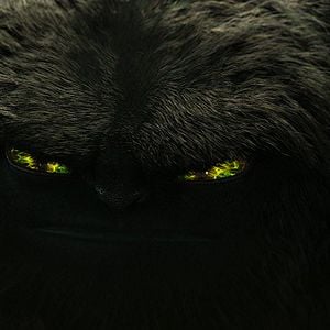 Foto Abulele - Meu Amigo Monstro