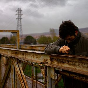 Foto A Árvore dos Frutos Selvagens