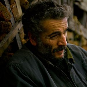 Foto A Árvore dos Frutos Selvagens