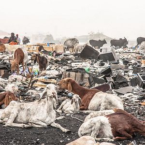 Foto Welcome To Sodom