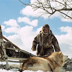 Foto Mikhail Aprosimov