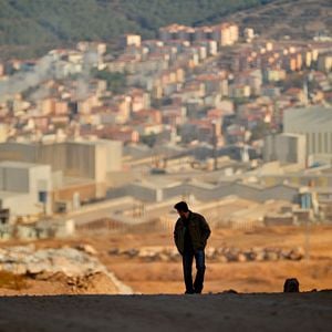 Foto A Árvore dos Frutos Selvagens