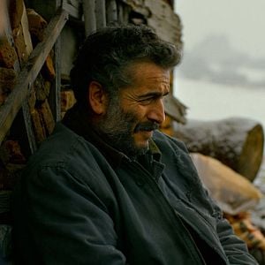 Foto A Árvore dos Frutos Selvagens