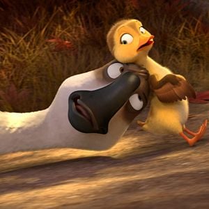 Foto Pato Pato Ganso